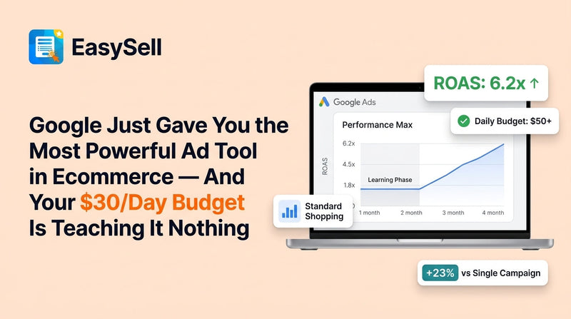 Google Performance Max campaign dashboard showing budget allocation and ROAS metrics for a small Shopify store